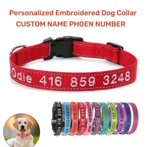 Nylon personalised dog - personalised,