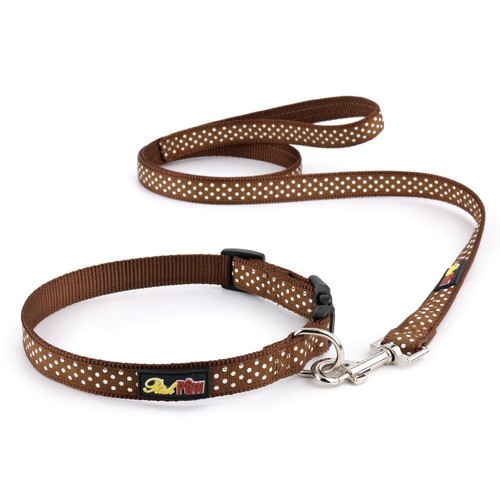 Brown polka dot dog - collar, and