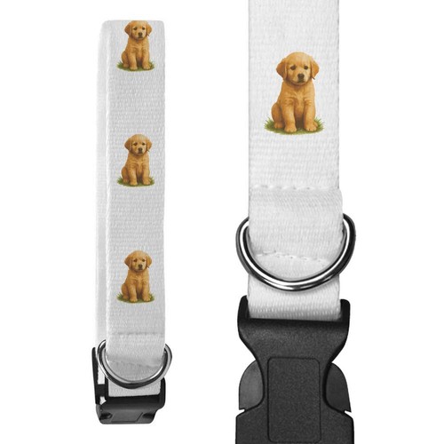 Golden retriever puppy - 'golden,
