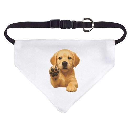 Golden retriever puppy dog - retriever, puppy'