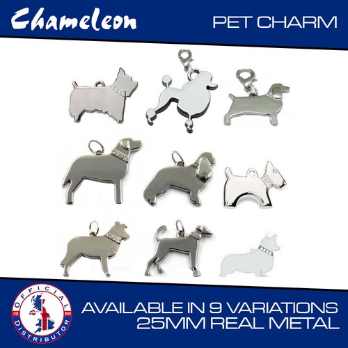 Puppy collar pendant charm - pendant,