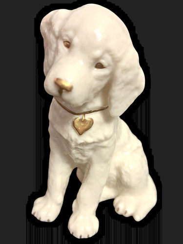 Lenox labrador retriever - lenox,