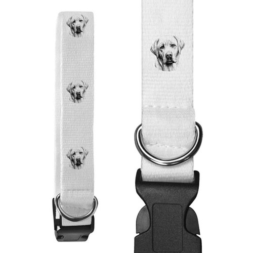 Labrador retriever dog - retriever, dog'