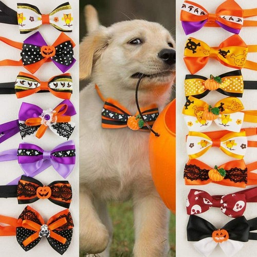 Pcs pack dog cat - pcs,