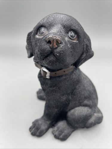 Black labrador retriever puppy - labrador,