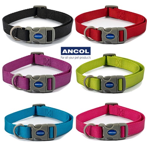Dog collar ancol adjustable - dog,