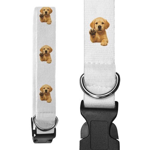 Golden retriever puppy - 'golden, puppy'