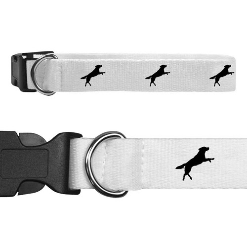 Jumping retriever dog - 'jumping,