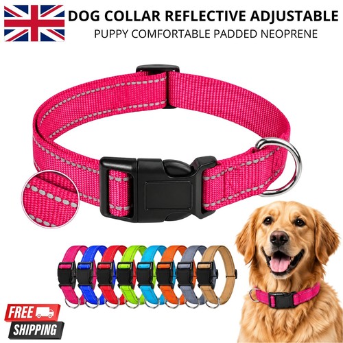 Dog collar reflective - collar,