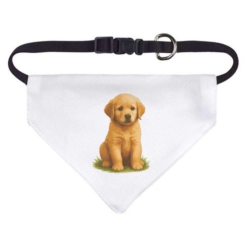Golden retriever puppy dog - puppy', /
