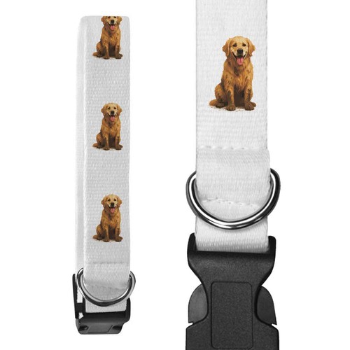 Muddy golden retriever - 'muddy,