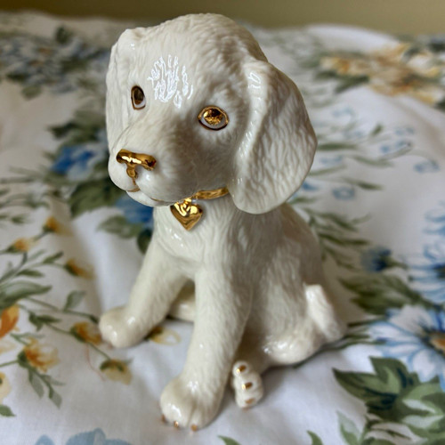 Lenox labrador retriever puppy - retriever,