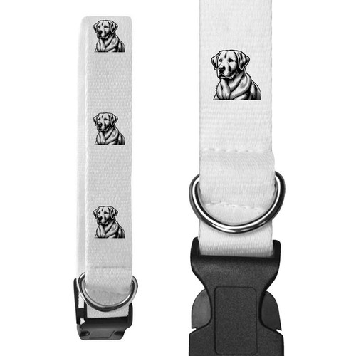 Labrador retriever dog - retriever',