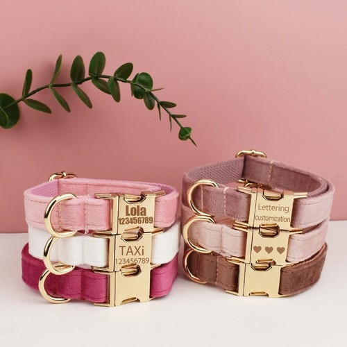 Velvet personalized dog collar - dog,