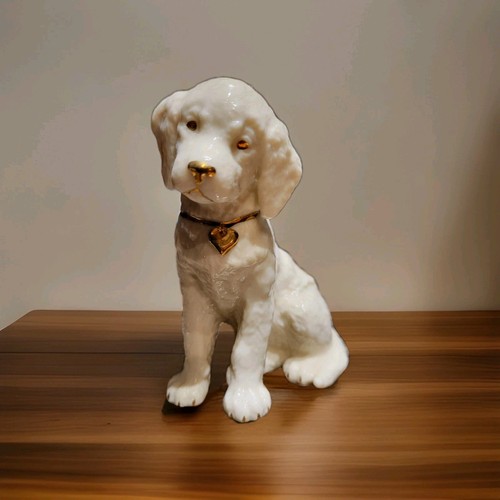 Lenox labrador retriever puppy - labrador,
