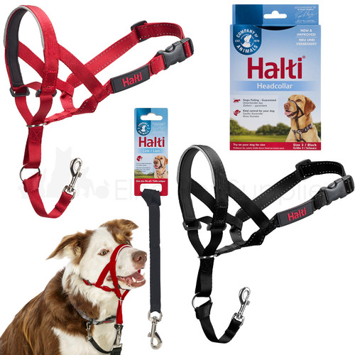 Halti head collar dog - collar,