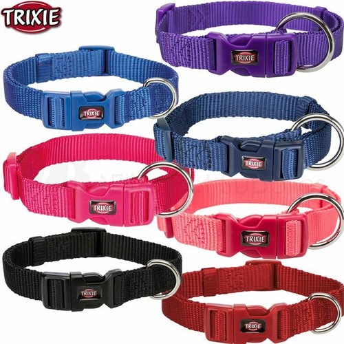 Trixie dog puppy - dog, collar