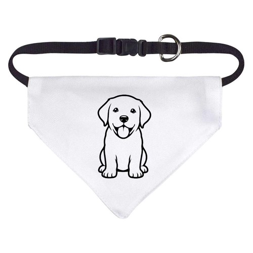 Puppy labrador retriever dog - labrador,