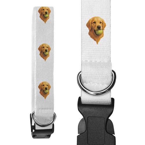 Golden retriever ball - retriever, ball'