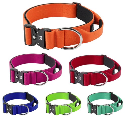 Heavy duty tactical dog - duty, collar