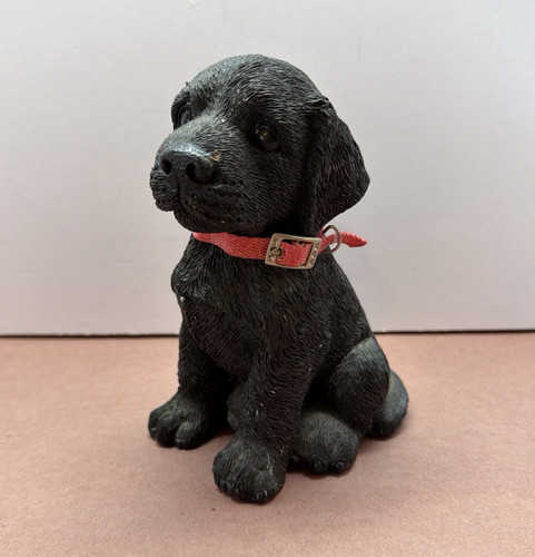 Black labrador retriever - black, puppy