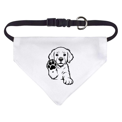 Golden retriever puppy dog - retriever, /