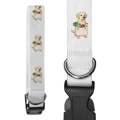Labrador retriever carrying - 'labrador,