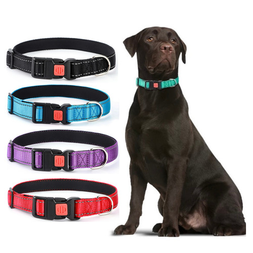 Dog collar adjustable - collar,