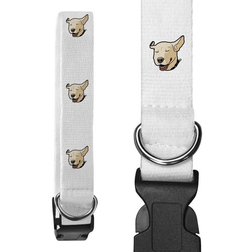 Labrador dog - 'labrador, collars