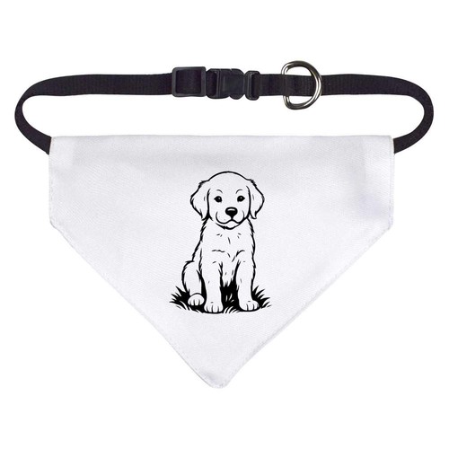 Golden retriever puppy - retriever, puppy'