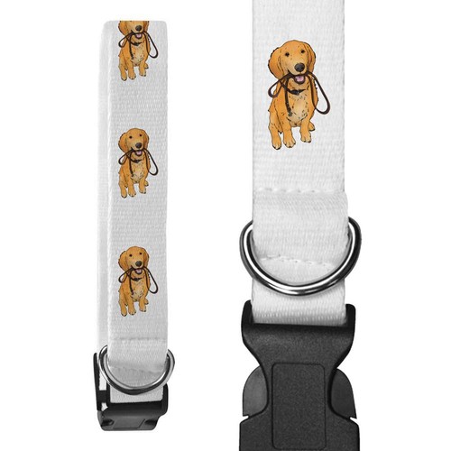 Golden retriever lead - 'golden,