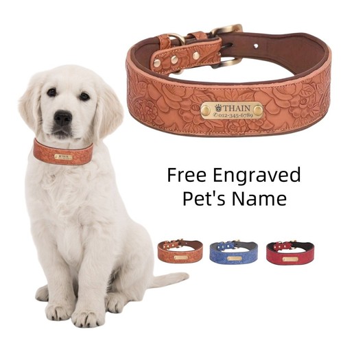 Personalised dog collar wide
